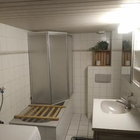 Brunnerhaus Frutigen
